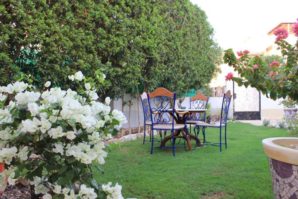 Villa D60 Σαρμ Ελ Σέιχ Εξωτερικό φωτογραφία