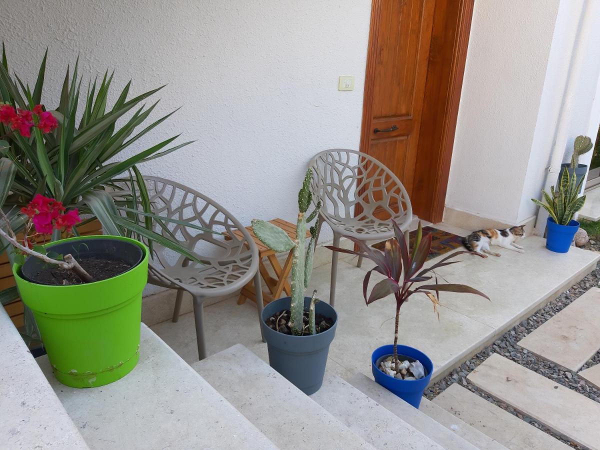 Villa D60 Σαρμ Ελ Σέιχ Εξωτερικό φωτογραφία